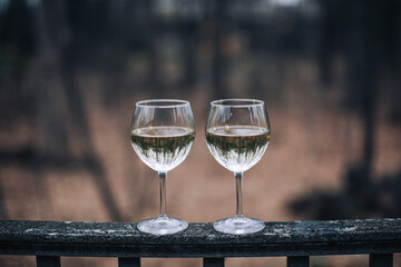 two glasses of white wine outside with the blurry background and the reflection of  the forest
