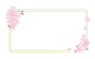 リアルな桜の花の長方形のフレームイラスト