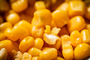 Grains of canned corn. Macro background.