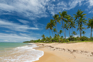 Tropical beach with coconut tree