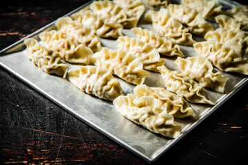 Raw dumplings gyoza on a baking sheet. Against a dark background.