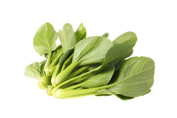 Pok Choi on white background