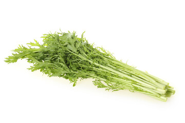 Fennel bunch on white background