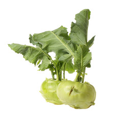 Fresh kohlrabi with green leaves on isolated white backround