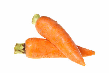Fresh carrot on a white background