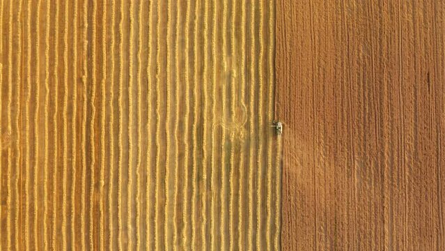 Aerial footage of agricultural combiner within a field. Crop gathering as seen from above. High quality 4k footage