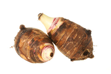 Taro on white background