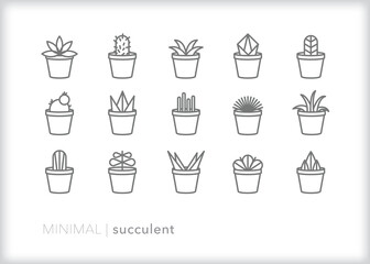 Set of succulent line icons of potted house plants for decor on a desk or in the home