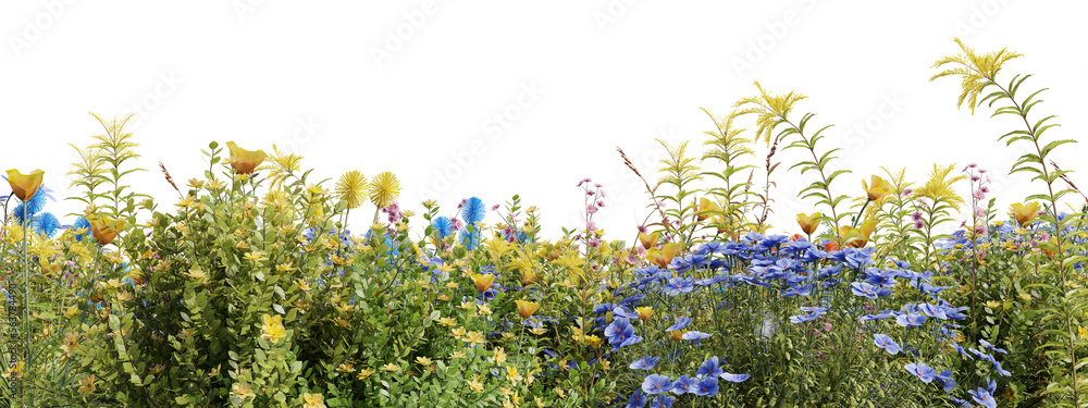 Poster evergreen flowers and grass field in nature, flowres on garden in springtime, tropical forest isolat