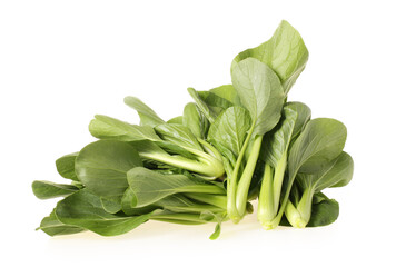 Pok Choi on white background