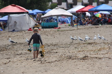 blonde boy and seagulls at crowded beach
