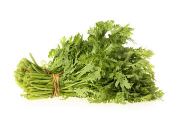 Shungiku, also known as tong hao, or edible chrysanthemum, Isolated on white. A leaf herb commonly used in asian food