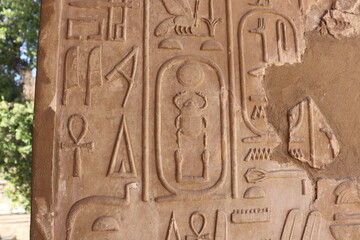 Ancient egyptian hieroglyphs and pharoah's cartouche at Karnak temple in Luxor  - obrazy, fototapety, plakaty
