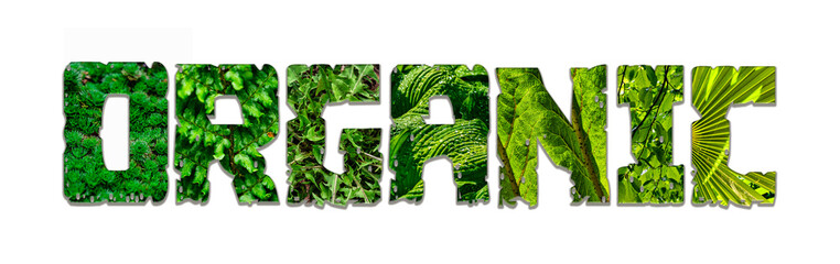 Organic