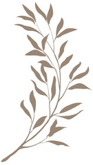 Olive Set of leave branch on PNG White transparent background Cover. Stock vector illustration 06