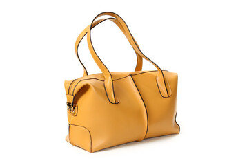 Women bag isolated on a white background