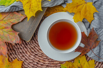 cup of tea and yellow maple autumn leaves, autumn colorful background top view