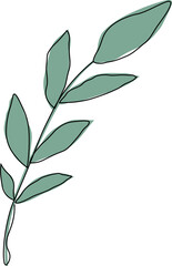 Green lemon leaves. Leaf, clipping path, isolated on white background. Yellow. Citrus. Minimalist doodle style. Black line. Vector illustration.