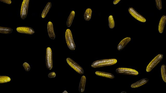 Looping animation featuring a cloud of Pickles floating in place on an alpha transparent background.