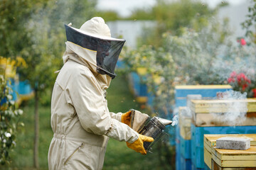 Beekeeper smoking honey bees with bee smoker on the apiary