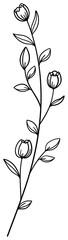 繊細な植物や花のボタニカルイラスト　ラスター素材