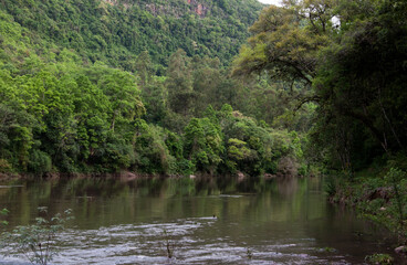 river in the forest in brazil