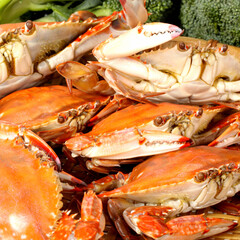 steamed crab and broccoli on white background
