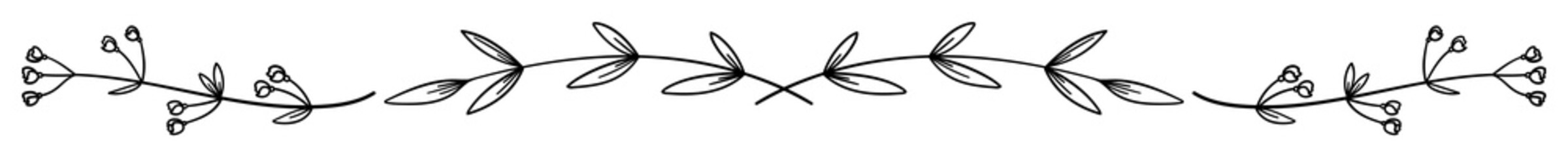 繊細な植物や花のボタニカルライン　ラスター素材