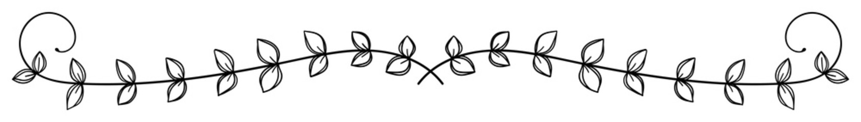 繊細な植物や花のボタニカルライン　ラスター素材