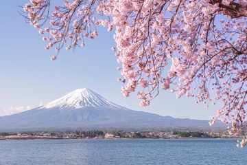 Selbstklebende Fototapeten Kirschen Fuji mountain and Pink Cherry Blossom in Spring at Lake Kawaguchiko, Japan  © iamdoctoregg