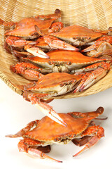 steamed crab on white background