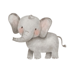 Cute elephant in cartoon style. Watercolor Drawing african baby wild animal isolated on white background. Jungle safari animal