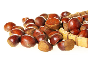 Obraz premium Sweet chestnut on white background.