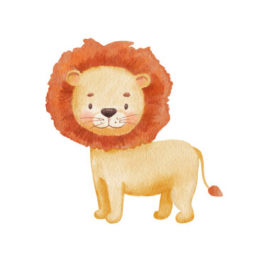 Cute lion in cartoon style. Watercolor Drawing african baby wild animal isolated on white background. Jungle safari animal