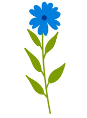 blue flower illustration