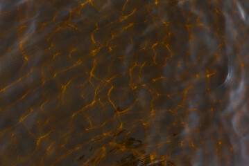 Abstract photo of the texture of the reflection of light from a transparent and clean surface of the water and the movements of the waves in bright golden colors.