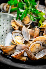 Fresh vongole with parsley. Macro background.