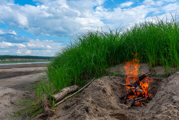 A bonfire burns on a bright day near the northern Vilyui River in Yakutia in the sand next to tall green grass under blue clouds and birch firewood nearby.