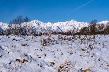 雪山と青空