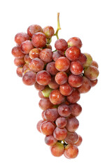 red grape on white background 