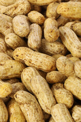 Peanut background