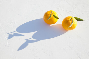 真っ白な漆喰に置かれた柚子と影