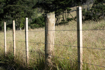 wire boundary farm fence with wooden posts