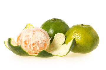 tangerine on white background