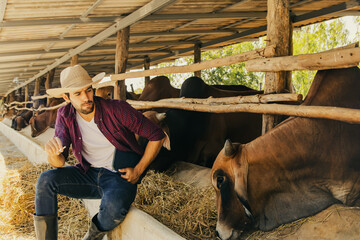 Handsome farmer worker sitting solemnly looking at cute tame cows and smoking cigarettes in Brahman...