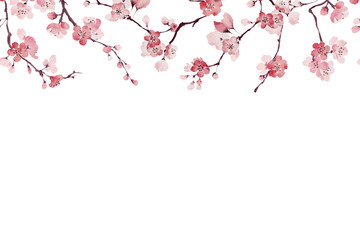 Watercolor cherry blossom seamless border branches with pink flowers