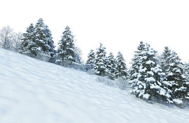 3D render forest and nature in winter