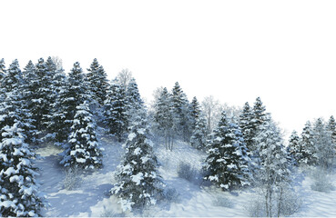 Fototapeta na wymiar 3D render forest and nature in winter