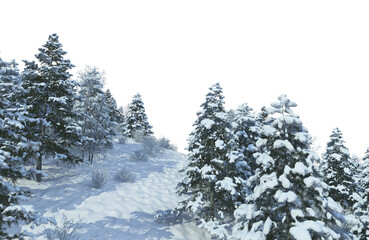 3D render forest and nature in winter