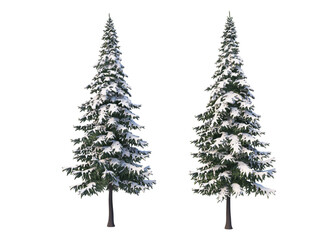 3D render forest and nature in winter